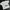 ZARA Casual T-shirt Kids White