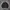 Nautica Casual Sweater Pria gray photo 1