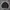 Nautica Casual Sweater Pria Gray