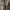 levi's engginer boot cut photo 4