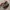 Dr martens Adrian tassel red cherry Second photo 6