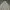 Japanese brand Casual Sweater Pria white photo 2