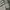 Ebbets Field Streetwear Sweater Pria white photo 5