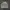 Ebbets Field Streetwear Sweater Pria white photo 1