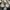 Adidas YEEZY BOOST 350 V2 earth / sz 36 photo 4