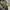 Adidas YEEZY BOOST 350 V2 earth / sz 36 photo 5