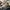 Adidas YEEZY BOOST 350 V2 earth / sz 36 photo 1