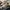 Adidas YEEZY BOOST 350 V2 Earth / Sz 36