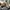 Adidas YEEZY BOOST 350 V2 earth / sz 36 photo 2
