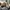 Adidas YEEZY BOOST 350 V2 Earth / Sz 36