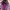 Cath Kidston Vintage Casual Crossbody Bag Wanita burgundy photo 5