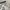 Asics Streetwear Sportswear Short Pria white navy blue photo 3