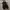 Chunky lofets nego tipis  photo 6