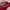 Topi cap von dutch stripe red white original photo 7