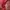 Topi cap von dutch stripe red white original photo 8