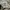 Carhartt WIP Ripstop Aviation Short Cargo Pants photo 5