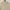 Vintage Coquette Cardigan Wanita tan khaki photo 2