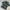 NII Korean Floral Pattern Gray Summer Open Collar Shirt photo 2