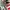 Nike Air Max 97  photo 2