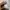Crewneck CP Company Authentic photo 4