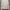 Crewneck CP Company Authentic photo 1