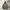 I Spiewak & sons N3B Parka Jacket photo 1