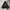 Leather Jacket Syinthetic Silver Moon photo 5