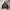 Leather Jacket Syinthetic Silver Moon photo 3