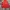 Japanese brand Grunge Skater Windbreaker Pria red photo 5
