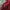 Stone Island Casual Track jacket Pria red photo 3
