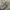 Diesel D-Euthasia Dress in olive green ASO Aria Montgomery photo 8