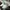 Adidas EQT BASK ADV "white green" / sz 41,5 photo 1