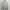 Hodie Zipper Basic Modni photo 1