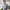 Dasi Pita Kupu Kupu Bow Tie Pria Wanita Unisex Abu Abu photo 7
