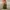 GU SUPERWIDE CARGO OLIVE PANTS photo 1