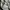BAGGY SWETPANTS GREY photo 6