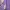 ZARA Purple Shirt For Women