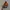 Topi Karakter Five Nights at Freddy's Official Merch photo 4