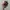 Topi Karakter Five Nights at Freddy's Official Merch photo 2