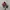 Topi Karakter Five Nights at Freddy's Official Merch photo 5