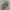 (NEW) Topi New Era x NBA Chicago Bulls A Frame Original photo 1