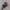 Vintage Topi Anime Dr. Slump Arale Official Merch photo 1