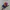 Vintage Topi Anime Dr. Slump Arale Official Merch