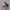 Vintage Topi Anime Dr. Slump Arale Official Merch photo 4