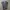 Ann Taylor Casual Casual trouser Wanita gray photo 5