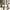 Field Core Utility Cargo Climbing Pants  photo 2