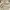 Fila Casual Polo shirt Pria cream photo 2