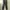Wide Korea Basic Brown Jogger Pants photo 2