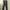 Wide Korea Basic Brown Jogger Pants