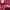 Red Bunny Rabbit Long Sleeved Lolita Kawaii Cosplay Dress photo 6